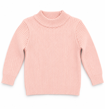 Load image into Gallery viewer, Unisex Embroidered Sweater
